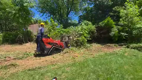The Shed brush clearing - After video 4 of 19 preview