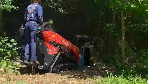 The Shed brush clearing - After video 5 of 19 preview