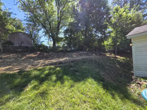 The Shed brush clearing - After photo 7 of 19