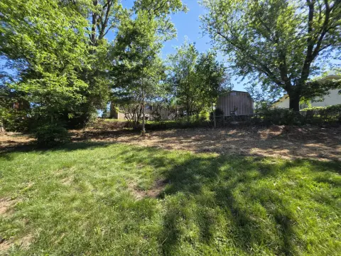 The Shed brush clearing - After photo 9 of 19