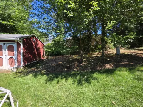 The Shed brush clearing - After photo 11 of 19