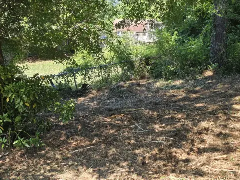 The Shed brush clearing - After photo 15 of 19