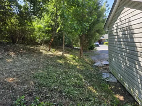 The Shed brush clearing - After photo 17 of 19