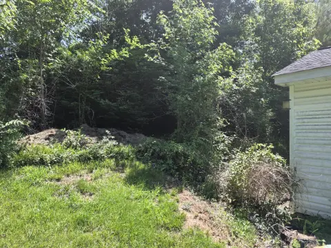 The Shed brush clearing - Before photo 2 of 14