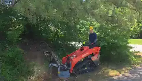 The Shed brush clearing - Before video 1 of 14 preview