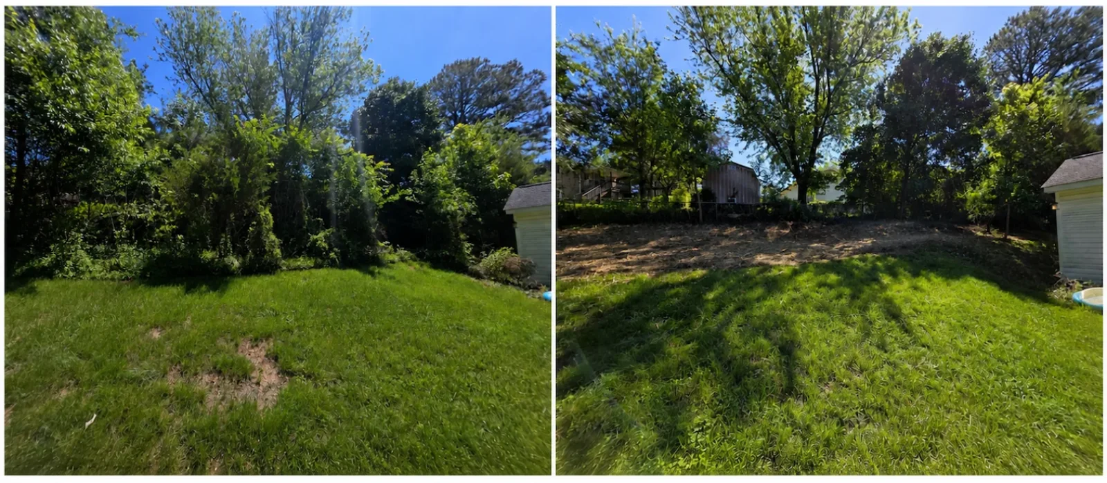 The Shed brush clearing before and after, Spotsylvania VA area