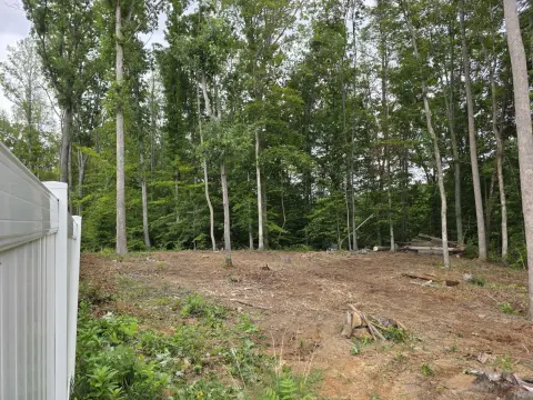 The Trees brush clearing - After photo 1 of 17