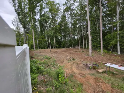 The Trees brush clearing - After photo 2 of 17