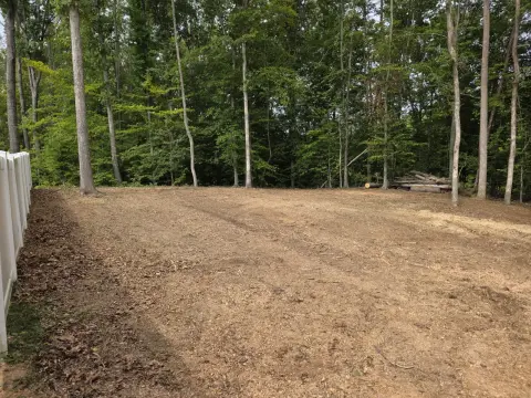 The Trees brush clearing - After photo 4 of 17