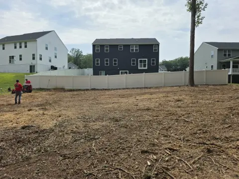 The Trees brush clearing - After photo 6 of 17