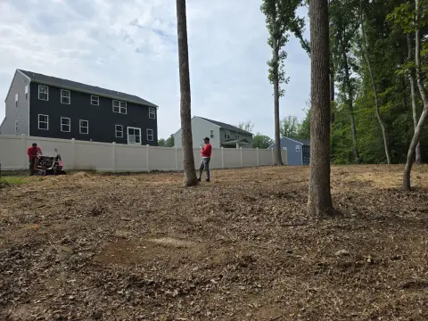 The Trees brush clearing - After photo 8 of 17