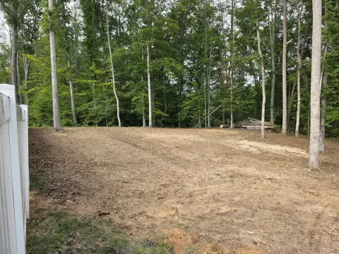 The Trees brush clearing - After photo 9 of 17