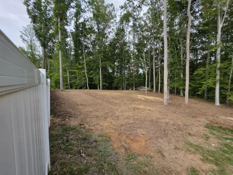 The Trees brush clearing - After photo 10 of 17