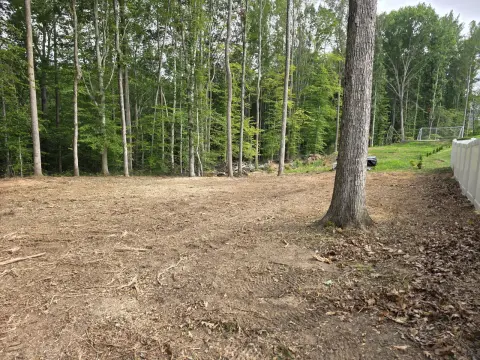 The Trees brush clearing - After photo 12 of 17