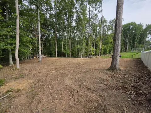 The Trees brush clearing - After photo 14 of 17