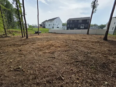 The Trees brush clearing - After photo 15 of 17