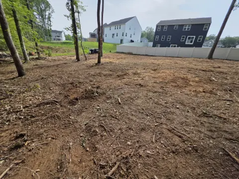 The Trees brush clearing - After photo 16 of 17