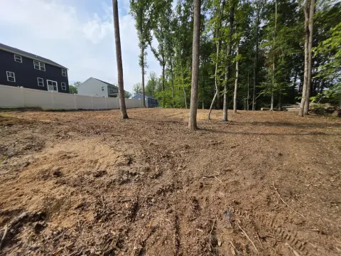The Trees brush clearing - After photo 17 of 17