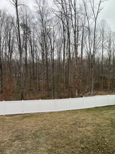 The Trees brush clearing - Before photo 6 of 17