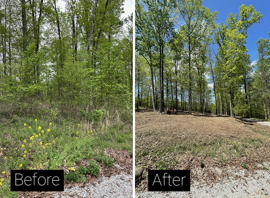 Before and after land clearing