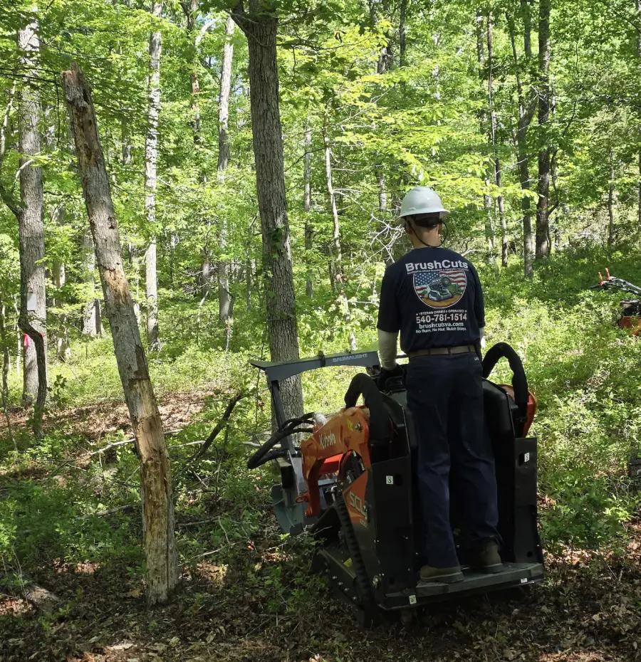 Compact forestry mulching equipment clearing brush on a residential lot in Spotsylvania VA